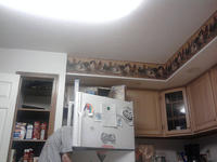 241543903 / Heads In Freezers