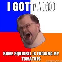 Tourette's Guy