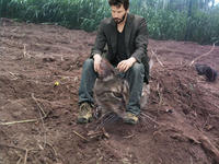 Keanu Is Sad / Sad Keanu