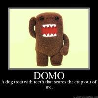 Domo