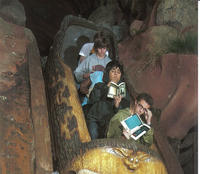Roller Coaster Chess