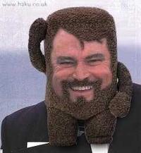 Domo