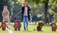 Domo