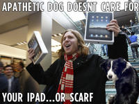 Apathetic-dog-just-doesnt-16770-1276888453-8