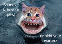 LOLcats