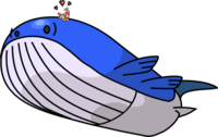 Hot Skitty on Wailord Action