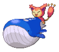 Hot Skitty on Wailord Action