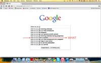 Google Search Box Suggestions
