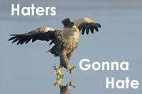 Haters Gonna Hate