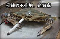 Loneliness Party (寂寞党)