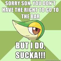 Pokeparents / Pokedads