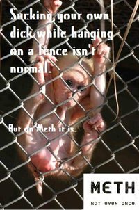 X Isn't Normal, But on Meth It Is