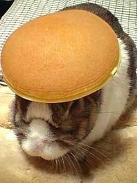 Pancake Bunny