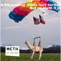 X Isn't Normal, But on Meth It Is