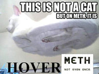 X Isn't Normal, But on Meth It Is