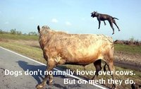 X isn't normal, but on Meth it is