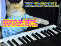 Keyboard Cat