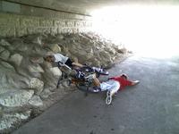 Playing Dead