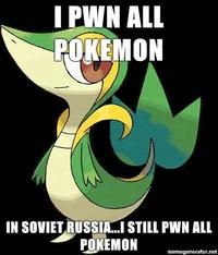 Smugleaf / Snivy