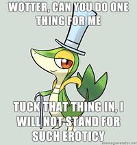 Smugleaf / Snivy