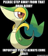 Smugleaf / Snivy