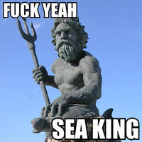 Fuck Yeah Seaking