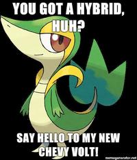 Smugleaf / Snivy