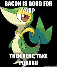 Smugleaf / Snivy