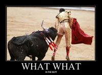 What What (in the Butt)