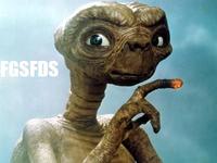 fgsfds