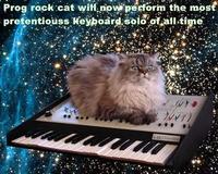 Cat on a Keyboard in Space