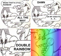 Double Rainbow
