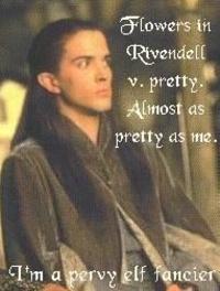 Figwit
