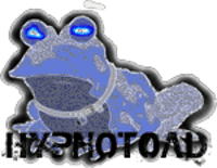 Hypnotoad