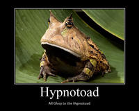 Hypnotoad