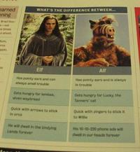 Figwit
