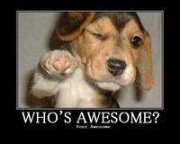 Who's Awesome? You're Awesome! / Sos Groso, Sabelo!