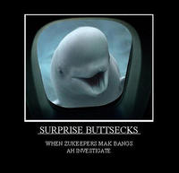 Surprise Buttsecks