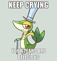 Smugleaf / Snivy