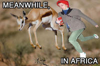 Prancing Cera