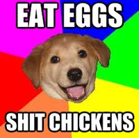 Advice Dog