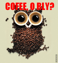 O RLY?
