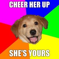 Advice Dog