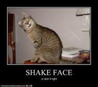 Shake Face