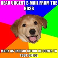 Advice Dog