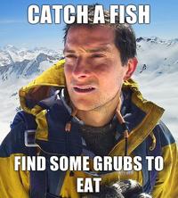 Catch-a-fish-find-some-grubs-to-eat