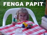 fenga_papit.jpg