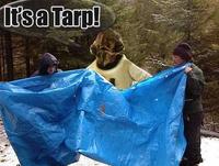It's A Trap!