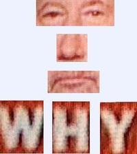 Tony Kornheiser's "Why"