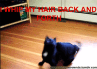 I Whip My Hair Back and Forth